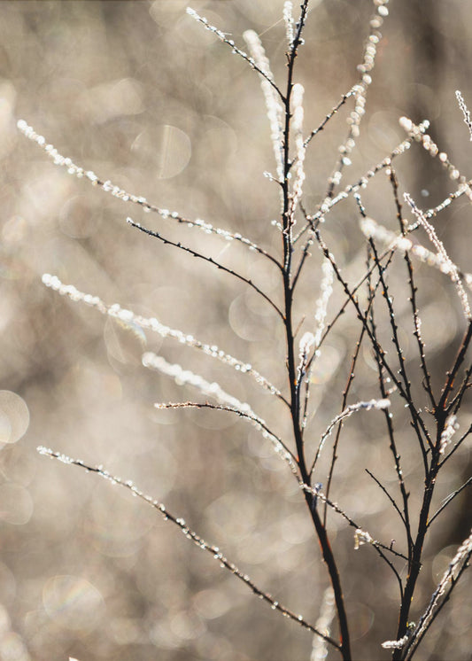 Een winterochtend 5 | Canvas