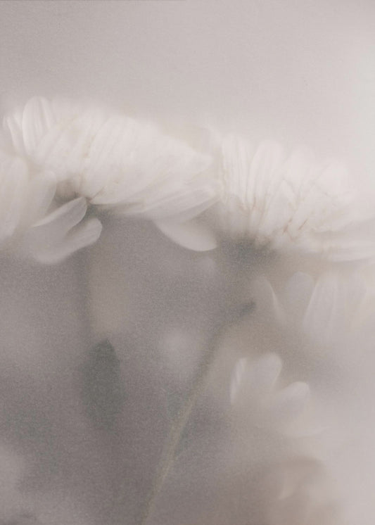 Vage bloemen 2 | Canvas