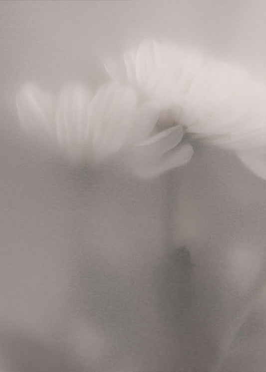 Vage bloemen 3 | Canvas
