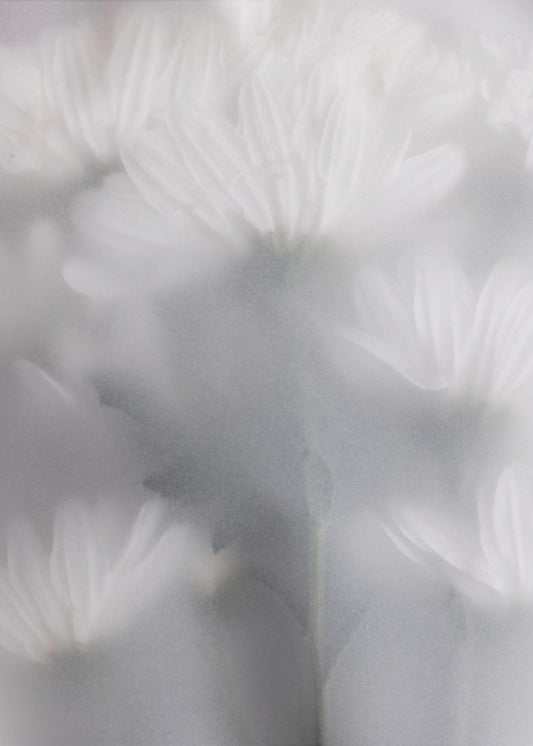 Vage bloemen 6 | Canvas