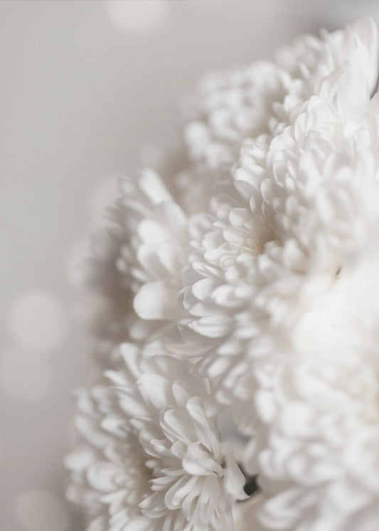 Witte bloemen | Canvas