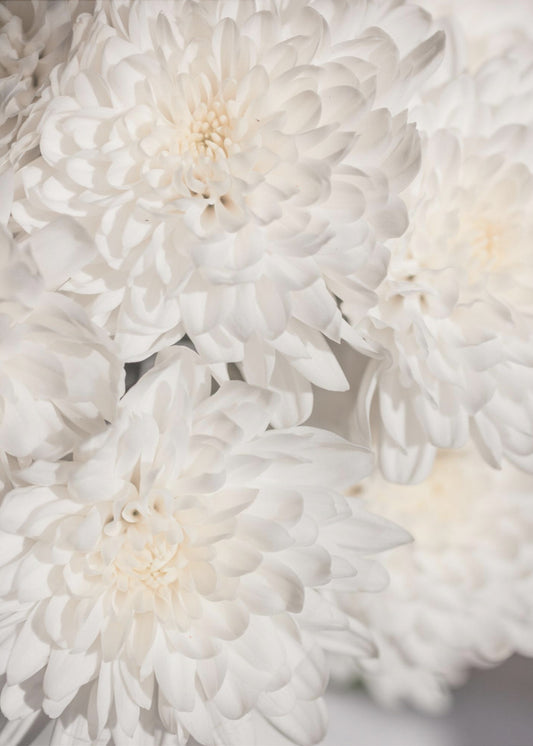 Witte bloemen 2 | Canvas
