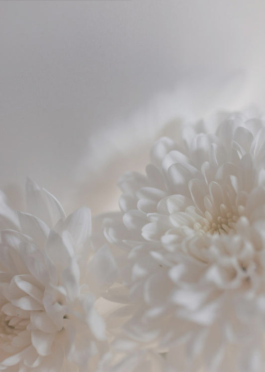 Witte bloemen 3 | Canvas