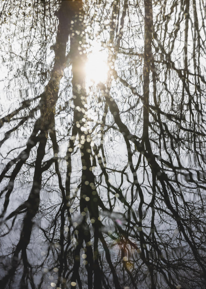 Winterreflecties 4 | Poster