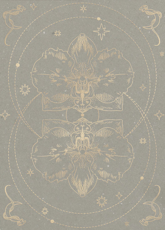 De mystieke orchidee | Poster