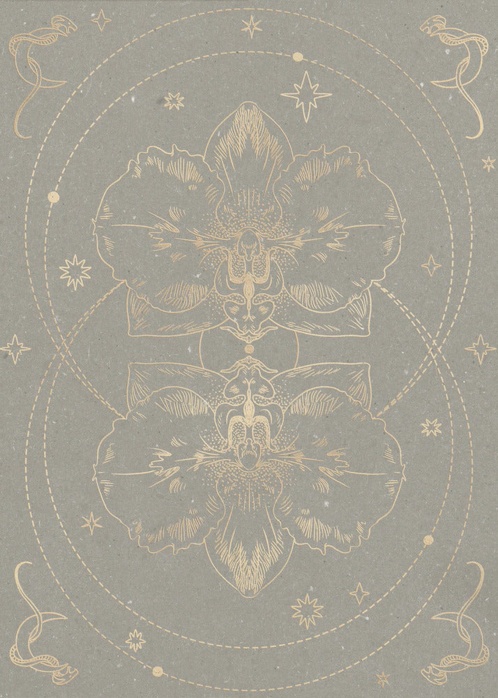 De mystieke orchidee | Canvas
