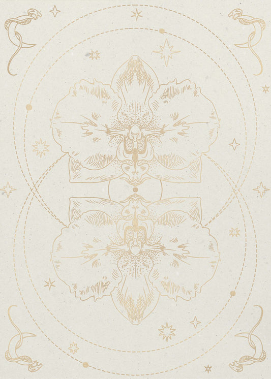 De mystieke orchidee | Canvas
