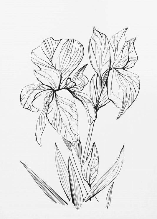 Irissen | Canvas