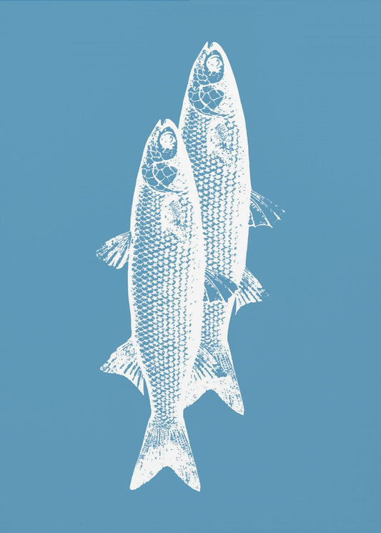 Vissen | Poster