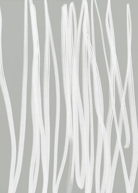 White Linear Strokes | Canvas
