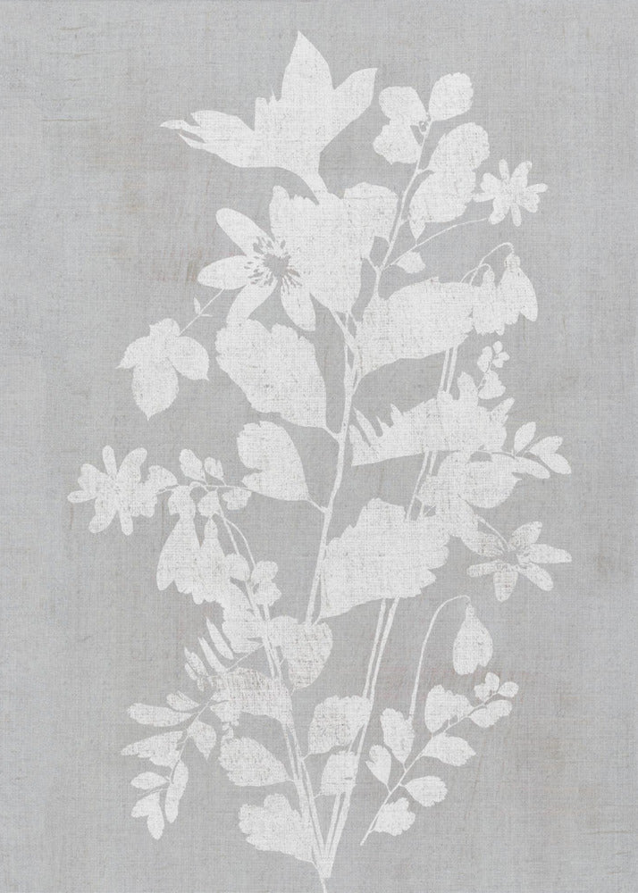 Botanische illustratie 2 | Canvas