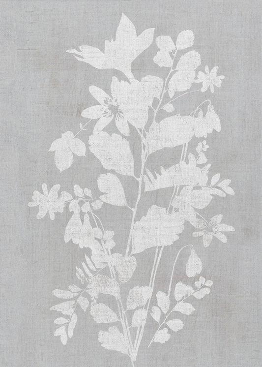 Botanische illustratie 2 | Canvas