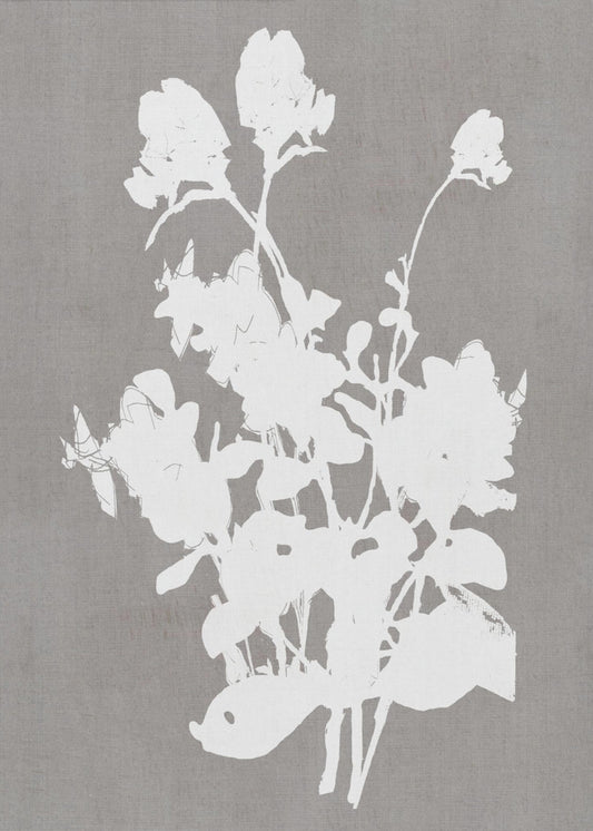 Botanical Illustration 3 | Canvas