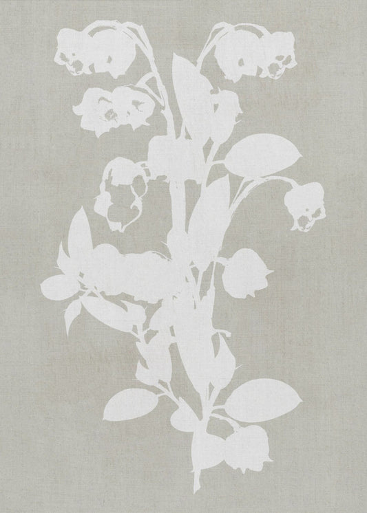 Botanische illustratie 4 | Canvas