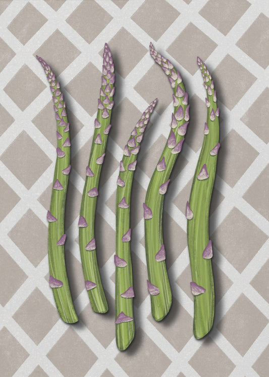 Asperges | Canvas