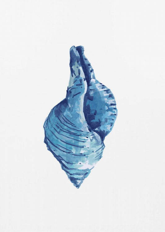 Blauwe schelp op witte achtergrond nr. 3 | Canvas