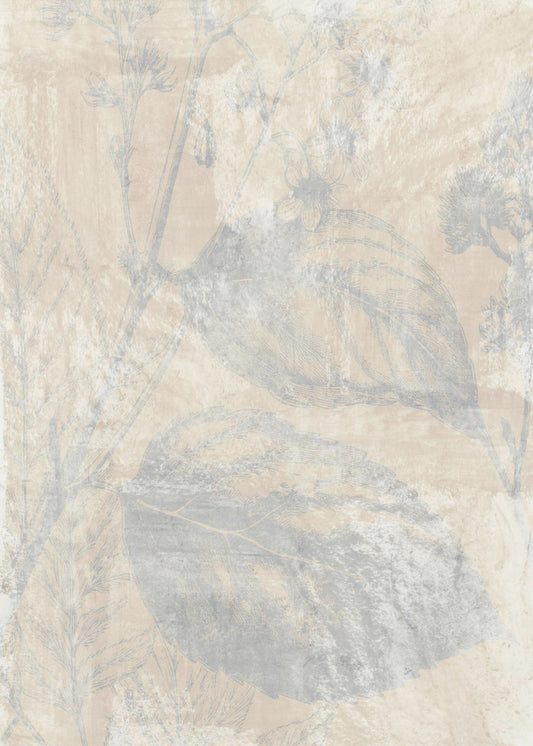 Woodsia 1 | Poster