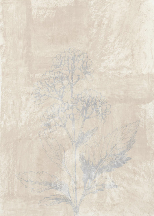 Woodsia 3 | Poster