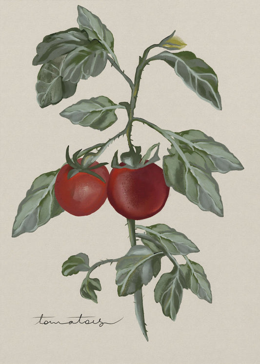 Vintage Tuin | Poster