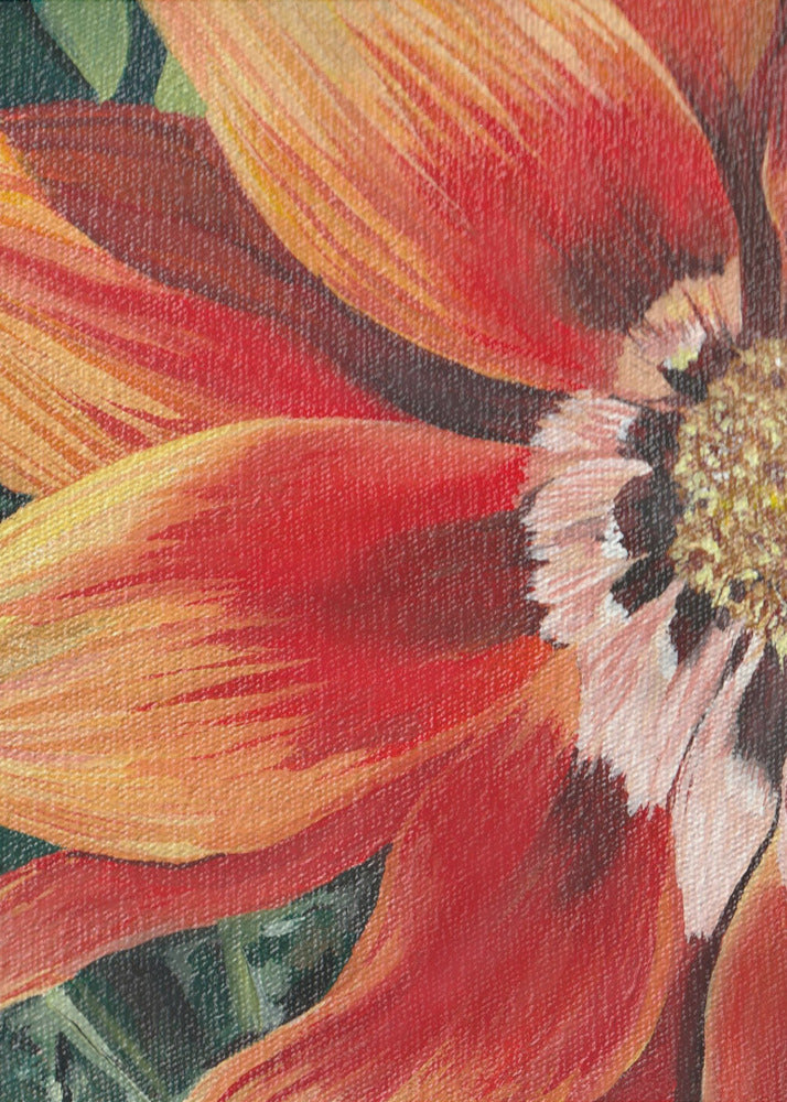 Gazania 1 By Viccy Wanliss | Poster