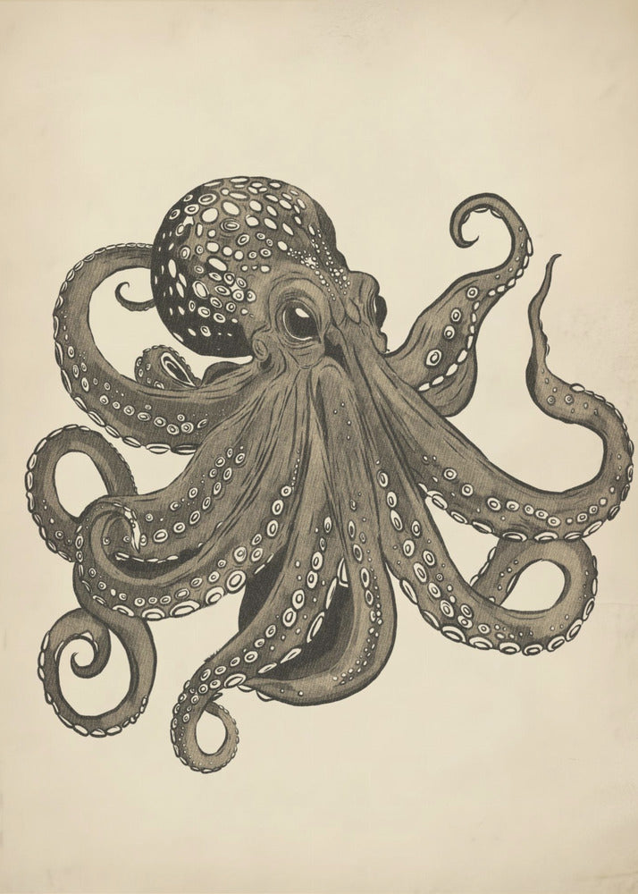 Octopus vintage handgeschilderd | Poster