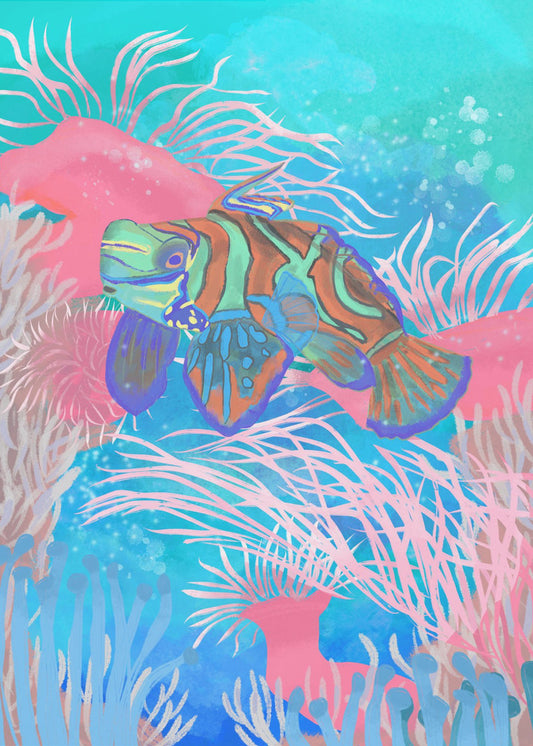 Mandarinfish | Poster