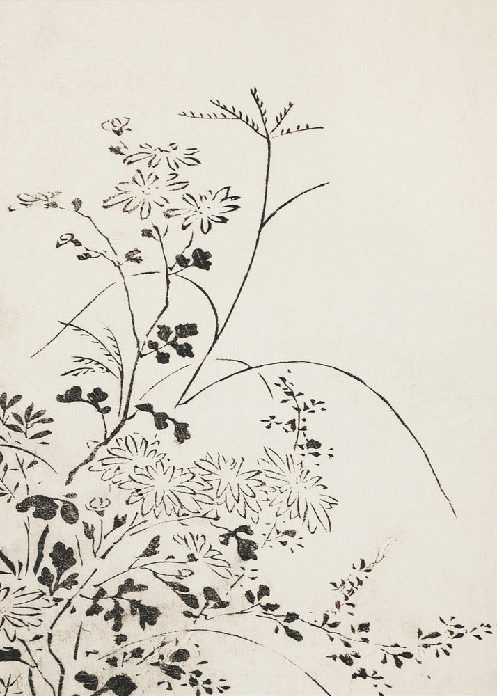 Herfstbloemen en grassen (1762) | Canvas