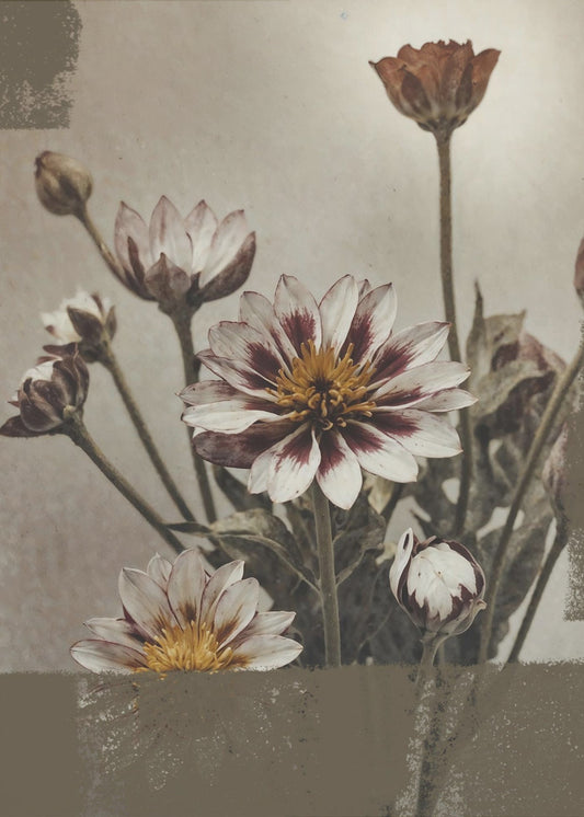 5 Vintage Bloemen | Canvas