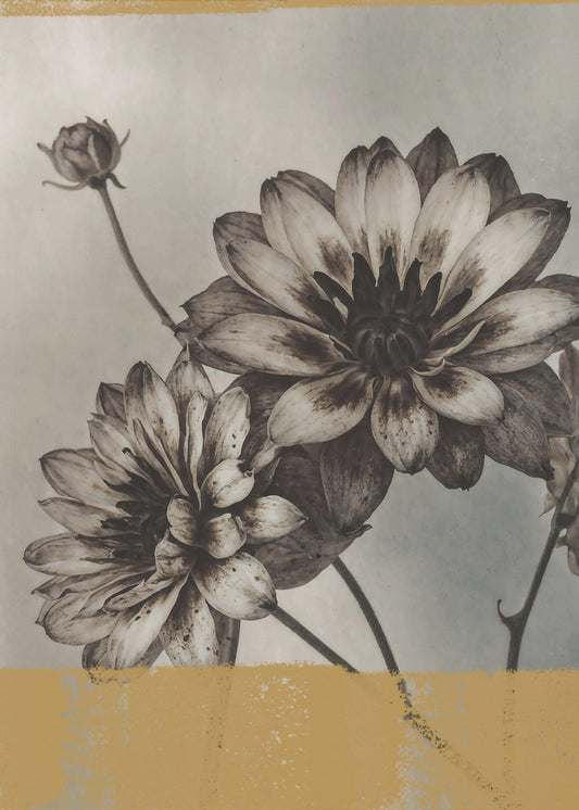 Vintage Bloemen Nr. 6 | Canvas