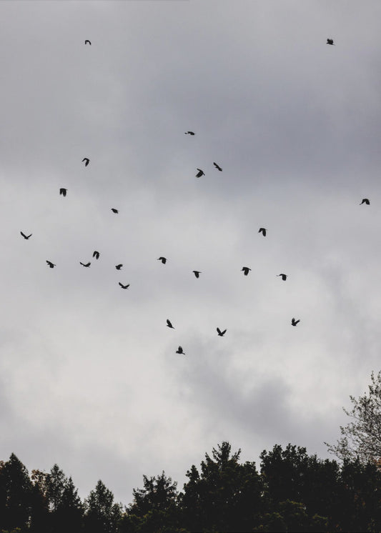 Vogels en wolken 1 | Canvas
