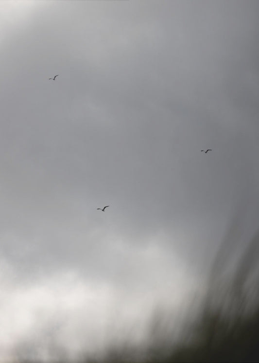 Vogels en Wolken 2 | Canvas