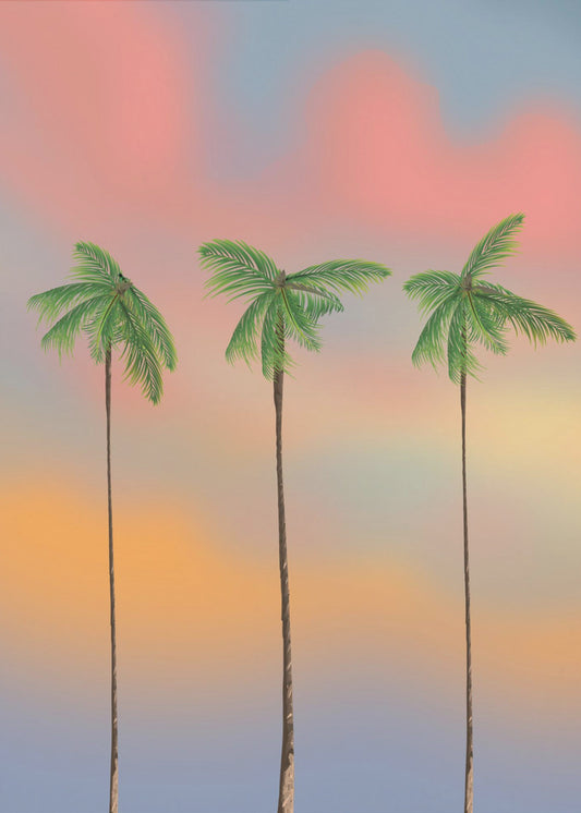 Drie hoge palmbomen | Canvas