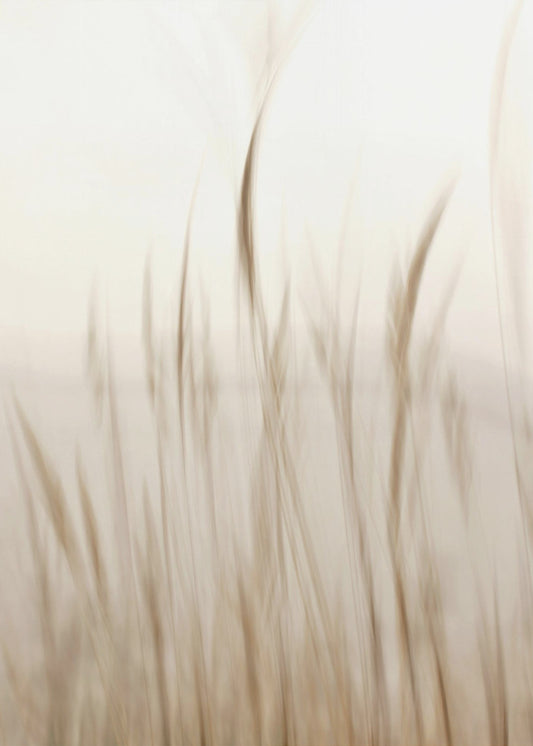 In de wind | Canvas