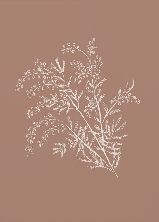 Acacia Botanische tak | Canvas