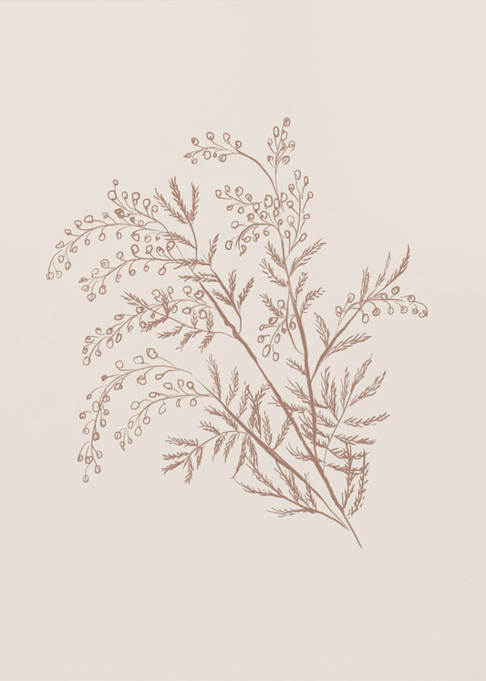 Acacia Botanische tak | Canvas