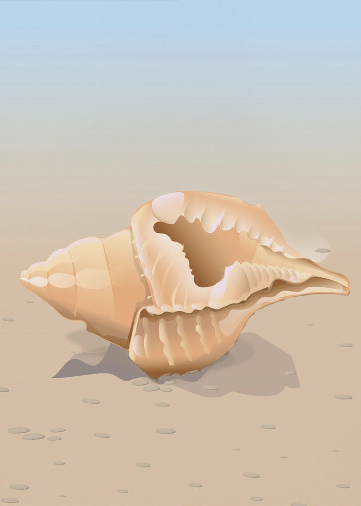 Seaside Shell | Poster