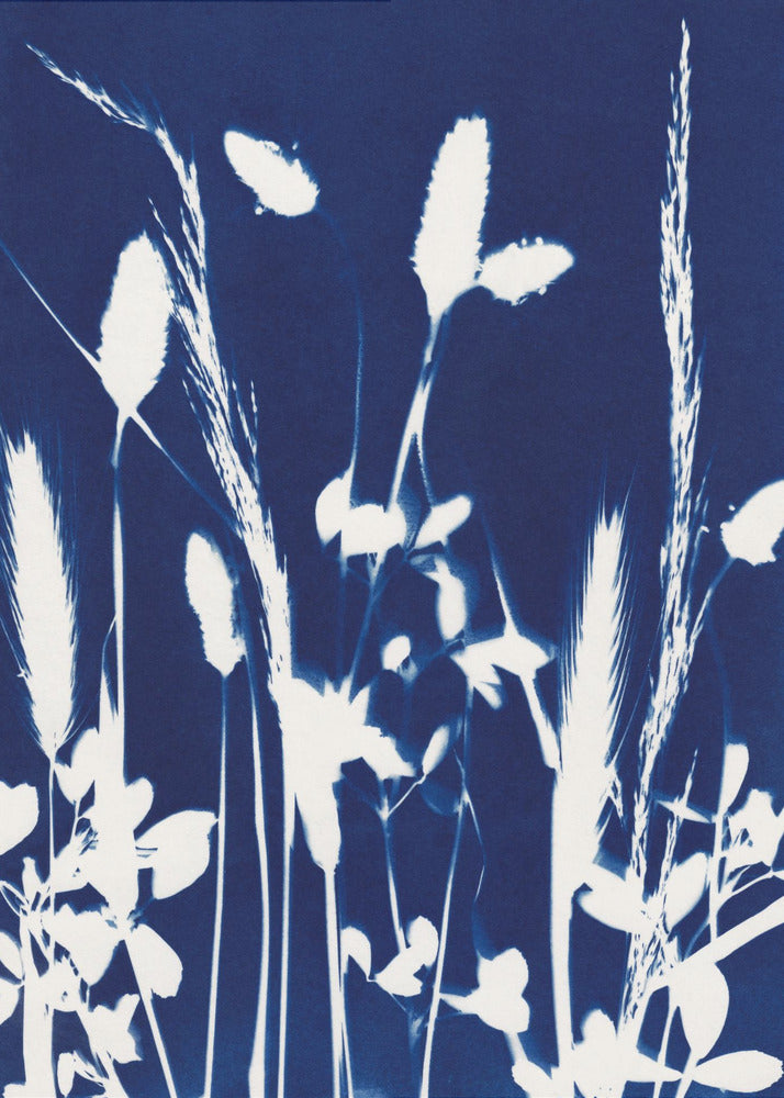Cyaan Herbarium #1 | Poster