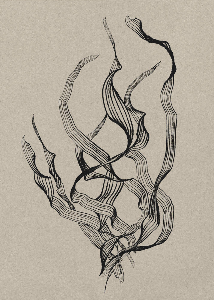 Delicaat | Canvas