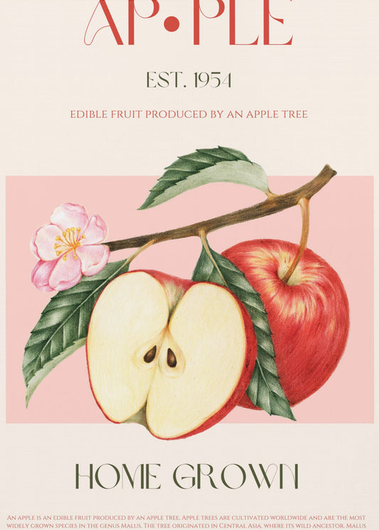 Geoogste appels | Canvas