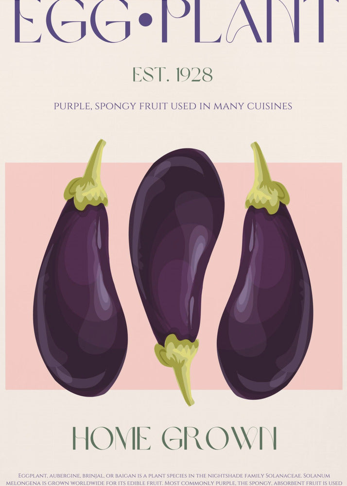 Drie levendige paarse aubergines | Poster