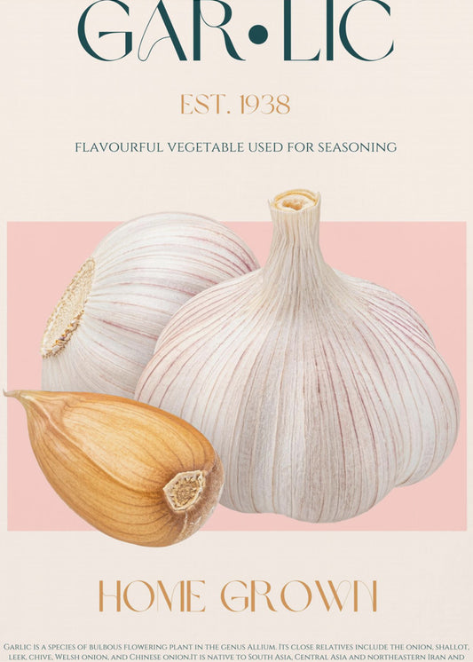 Knoflook Essence | Canvas