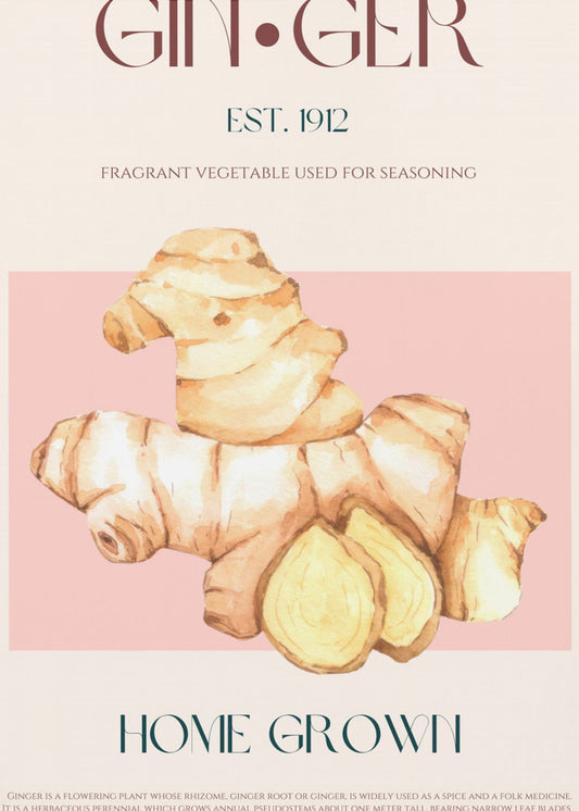 Aquarelillustratie van gember | Poster