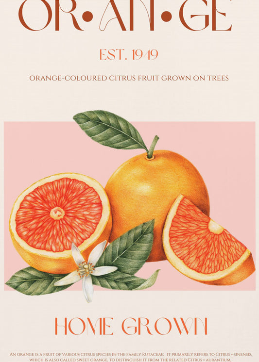 Vintage-thema met levendige sinaasappels | Poster