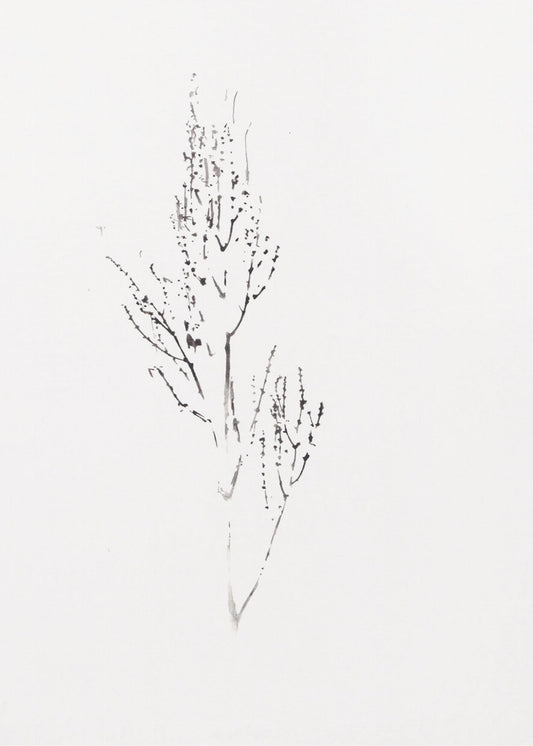Planten | Canvas