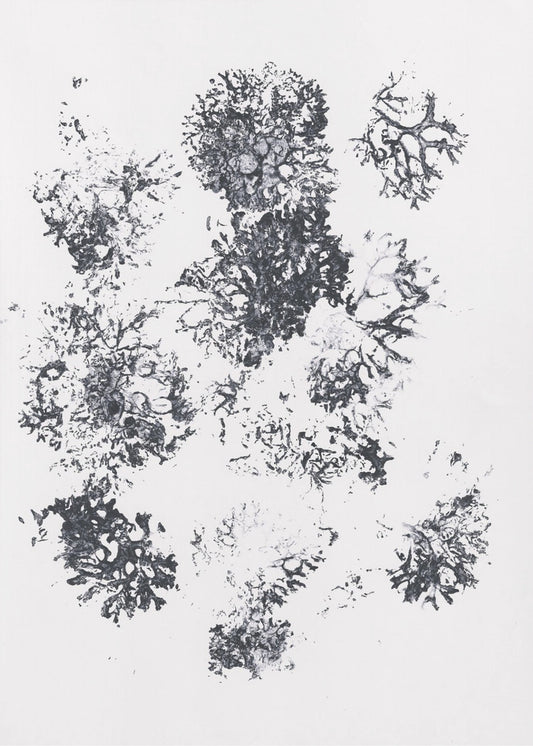 Planten II | Canvas