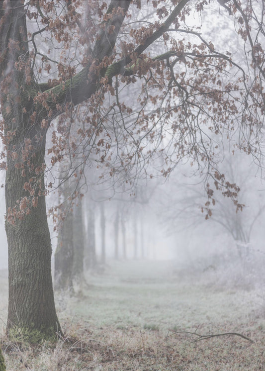 Mistige winterochtend 3 | Canvas