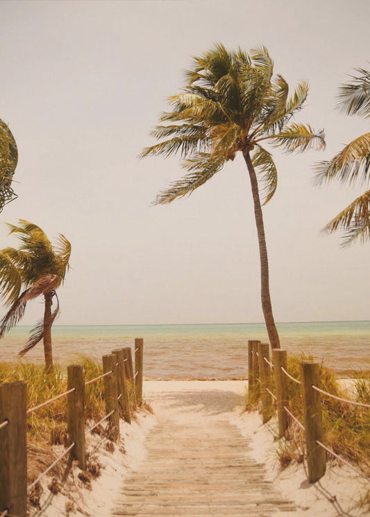 Tropische paradijsvibes | Canvas