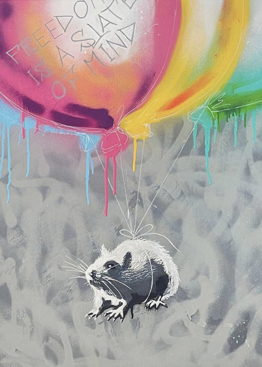 Ballonvaart | Canvas