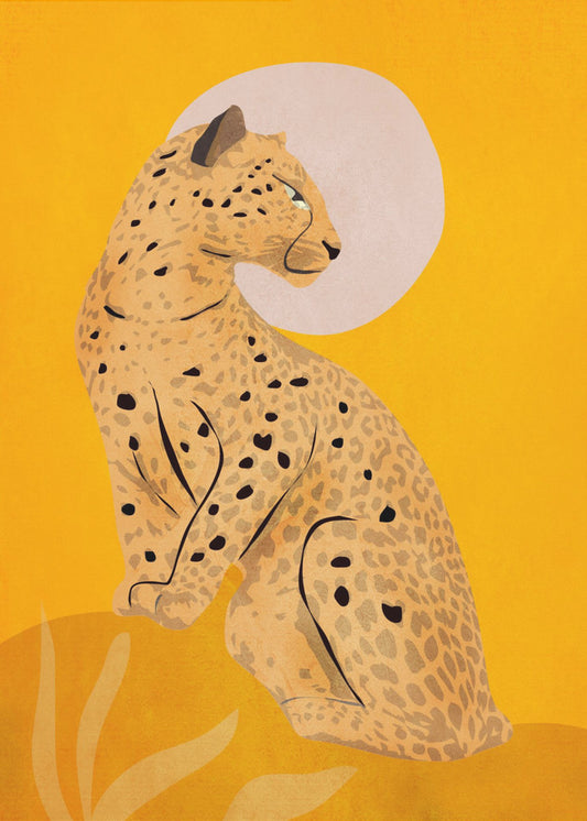 Gouden sierlijke cheetah | Poster