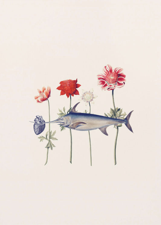 Hartvis | Canvas